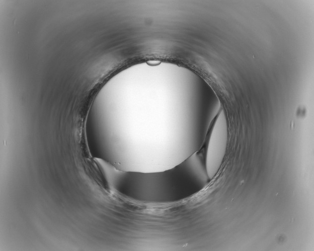 X0000093760168200711131157