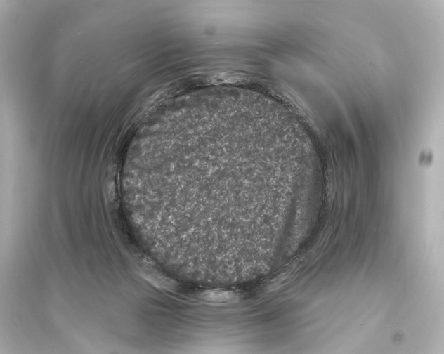 X0000093760169200711131157