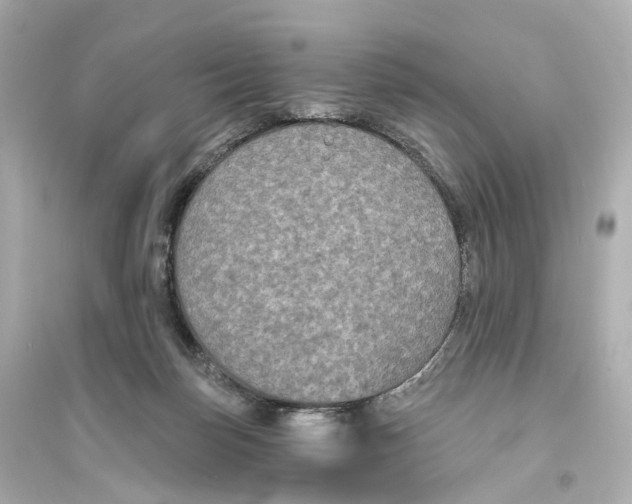 X0000093760171200711131157