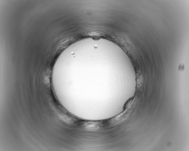 X0000093760175200711131157