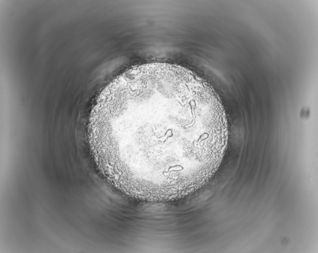 X0000093760181200711131157