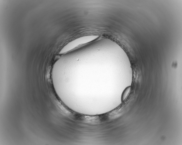 X0000093760185200711131157