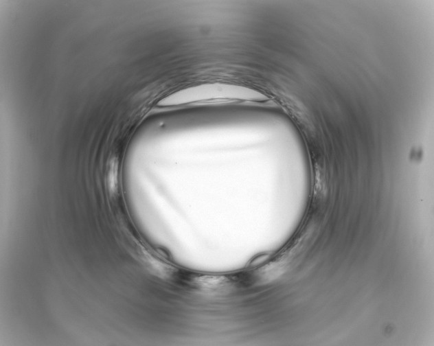 X0000093760189200711131157