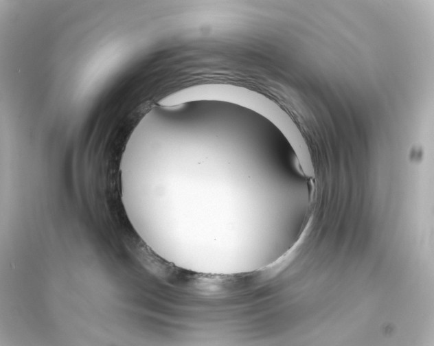 X0000093760190200711131157