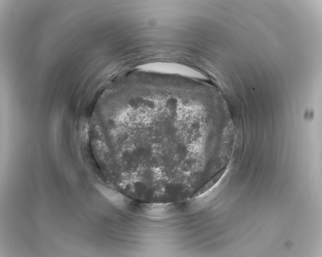 X0000093760191200711131157