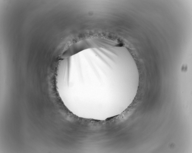 X0000093760192200711131157