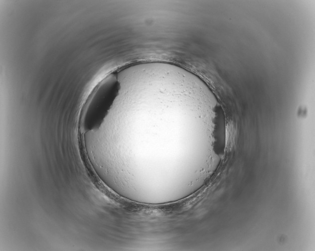 X0000093760195200711131156