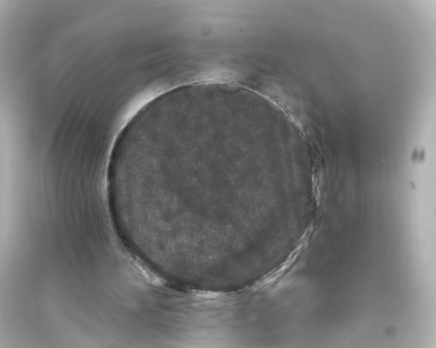 X0000093760196200711131156