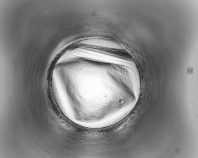 X0000093760198200711131156