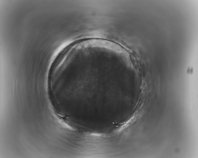 X0000093760200200711131156