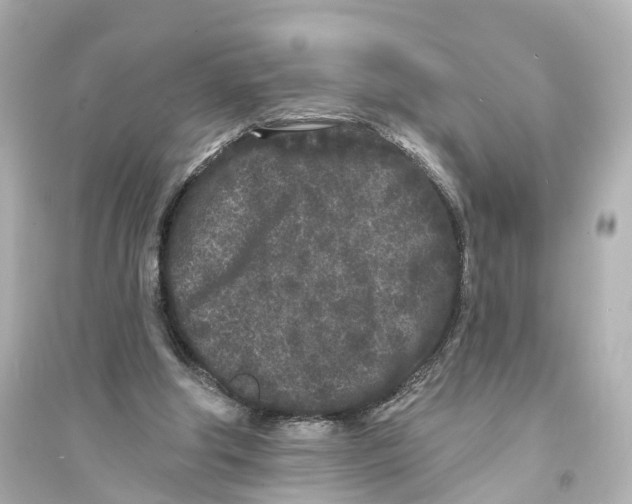 X0000093760202200711131156