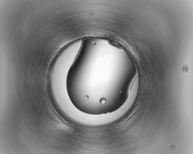 X0000093760203200711131156