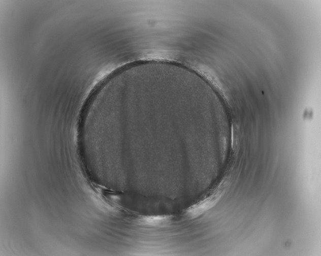 X0000093760204200711131156