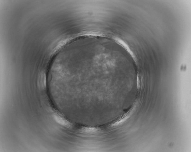 X0000093760205200711131156