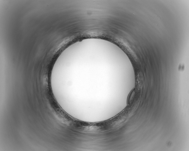 X0000093760212200711131156