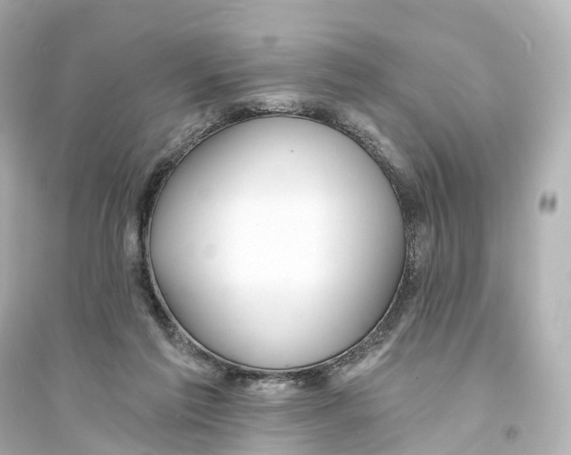 X0000093760213200711131156