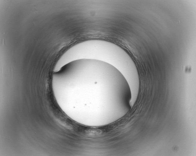 X0000093760215200711131156