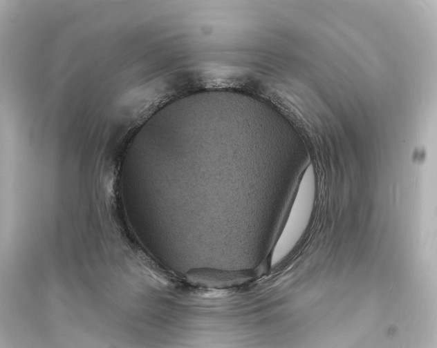 X0000093760219200711131156