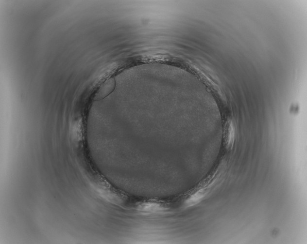 X0000093760224200711131156