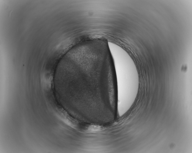 X0000093760227200711131156