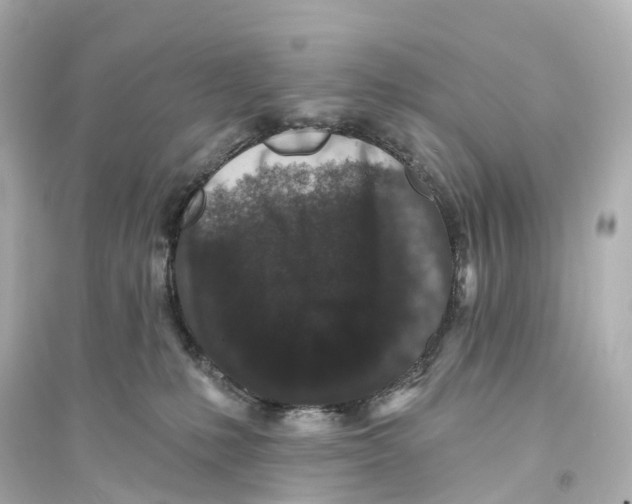 X0000093760231200711131156