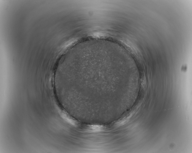 X0000093760233200711131156