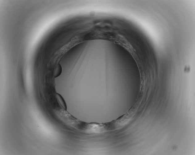 X0000093760239200711131155