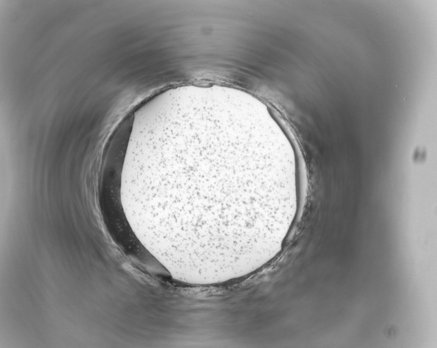 X0000093760241200711131155