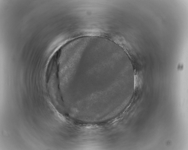 X0000093760243200711131155