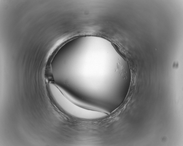 X0000093760244200711131155