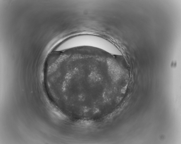 X0000093760247200711131155