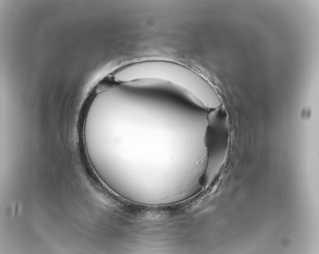 X0000093760248200711131155