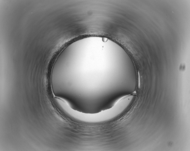 X0000093760252200711131155