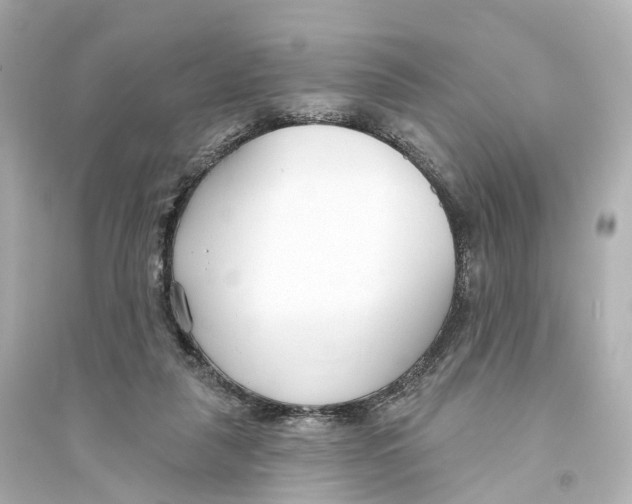 X0000093760259200711131155