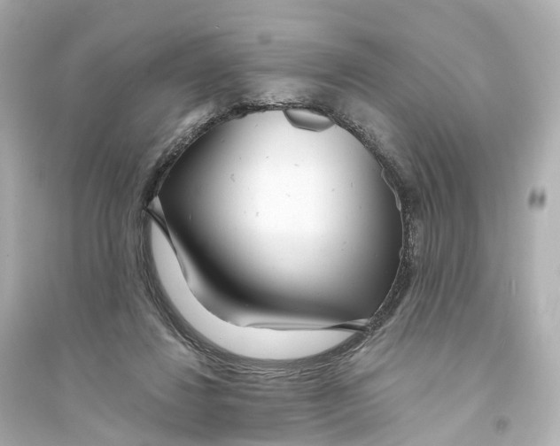 X0000093760260200711131155