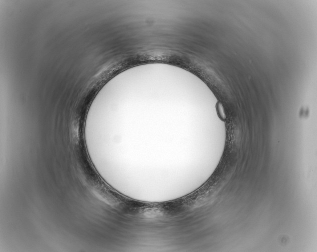 X0000093760262200711131155