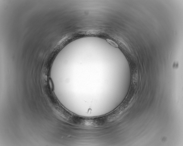 X0000093760264200711131155