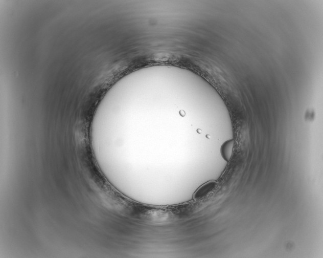 X0000093760272200711131155