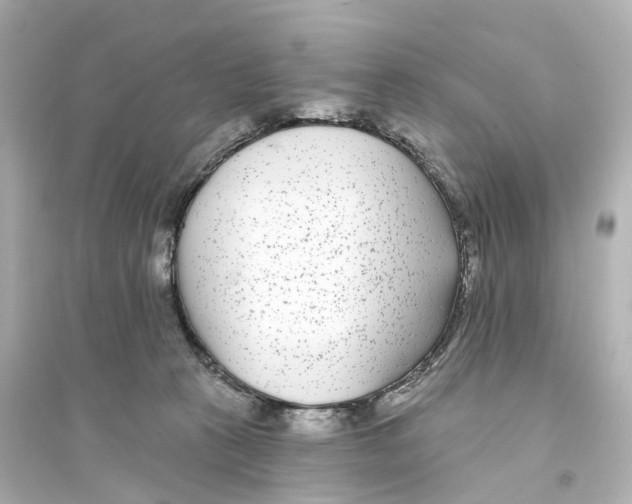 X0000093760273200711131155