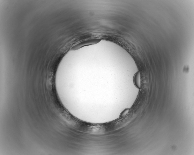 X0000093760275200711131155