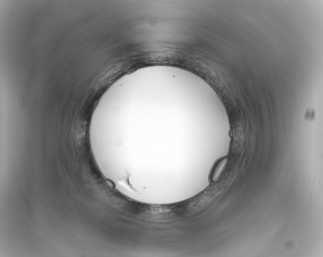 X0000093760278200711131155