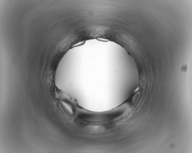 X0000093760280200711131155