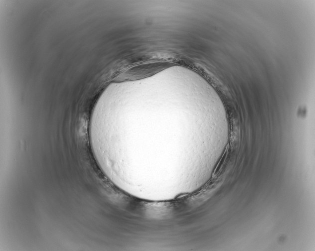 X0000093760281200711131155