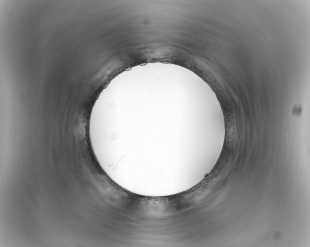 X0000093760282200711131155