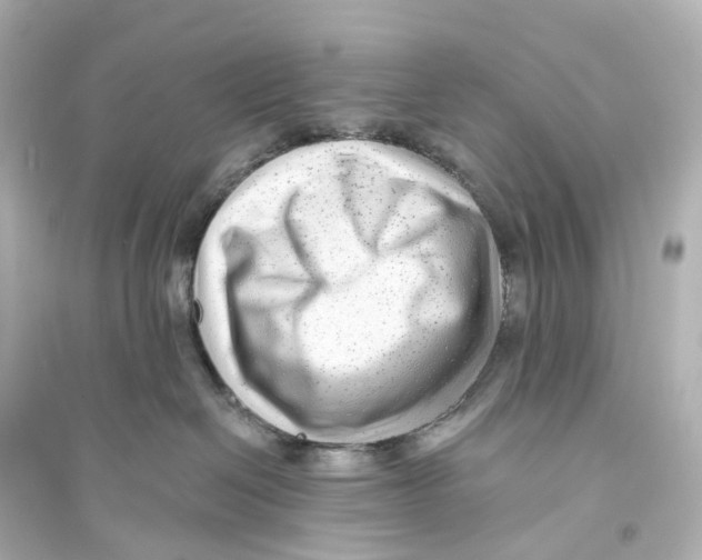 X0000093760286200711131155