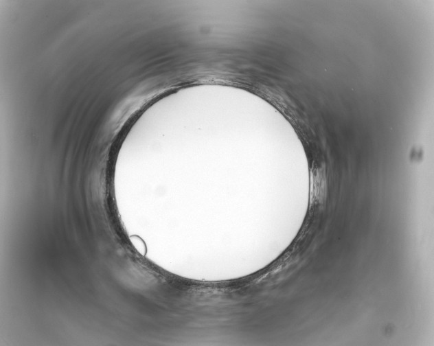 X0000093760291200711131155