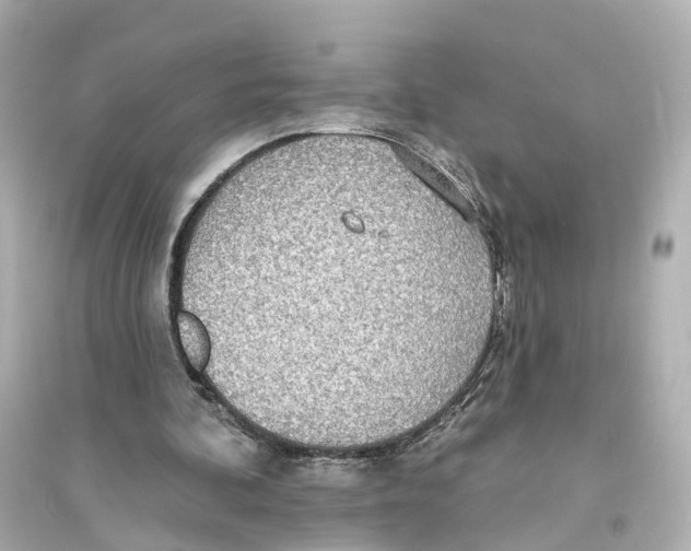 X0000093760292200711131155