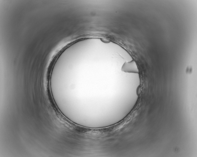 X0000093760294200711131155