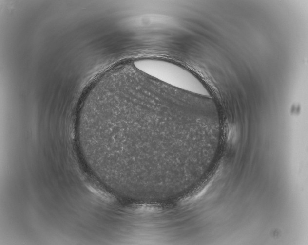 X0000093760303200711131154