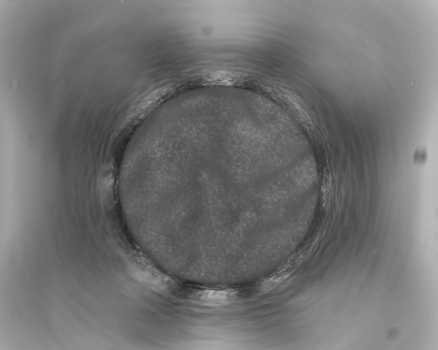 X0000093760314200711131154